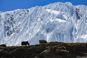 Naya Khang Peak Climbing