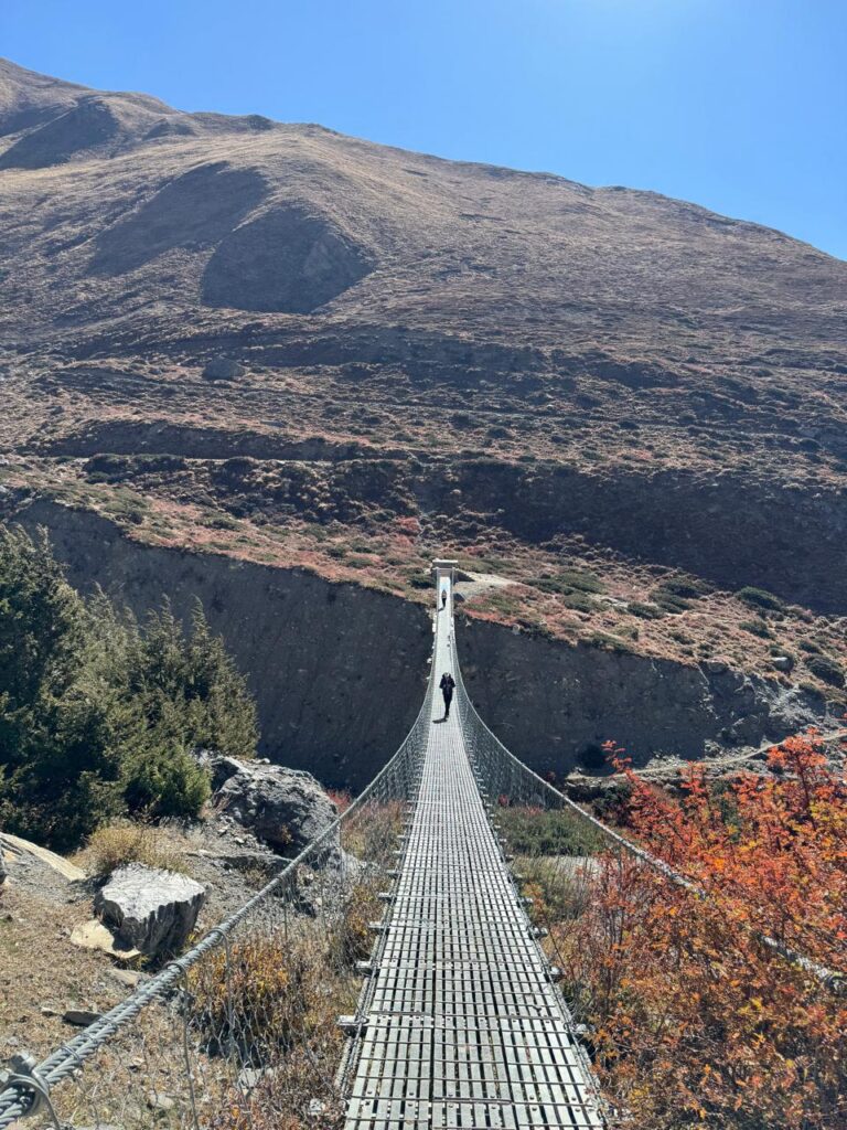 Crossing suspension bridge