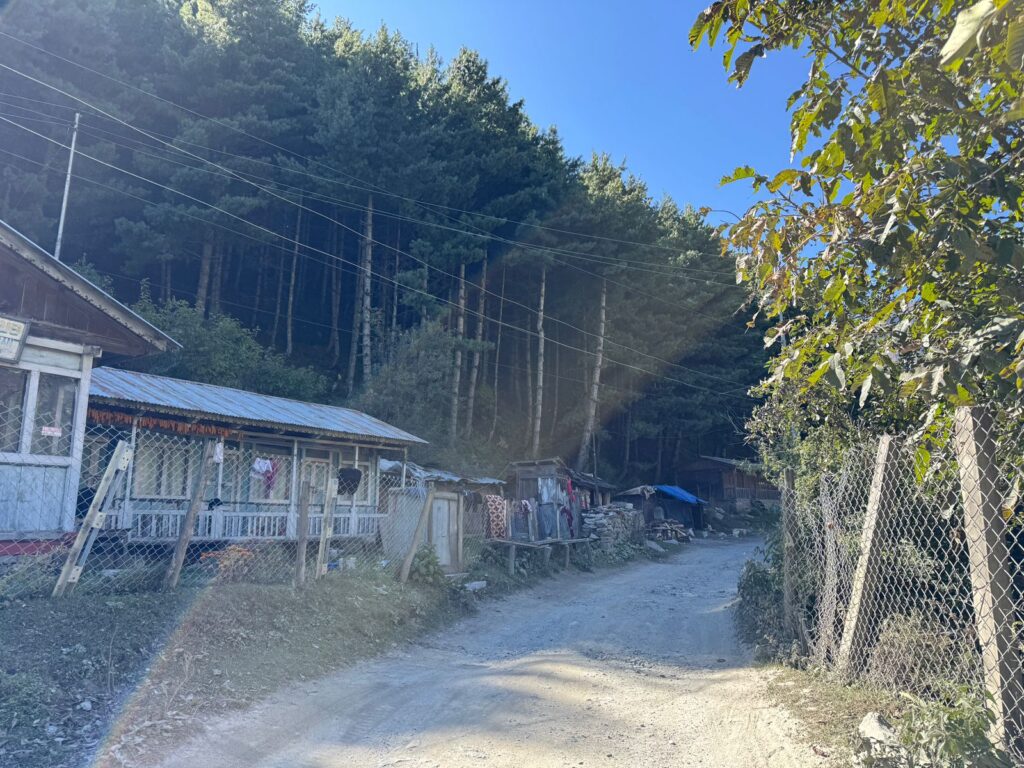 Lush Forest on the way to Chame