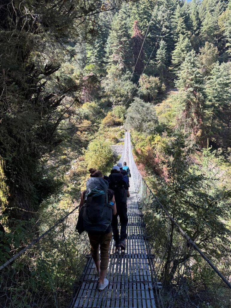 walking between lush forest
