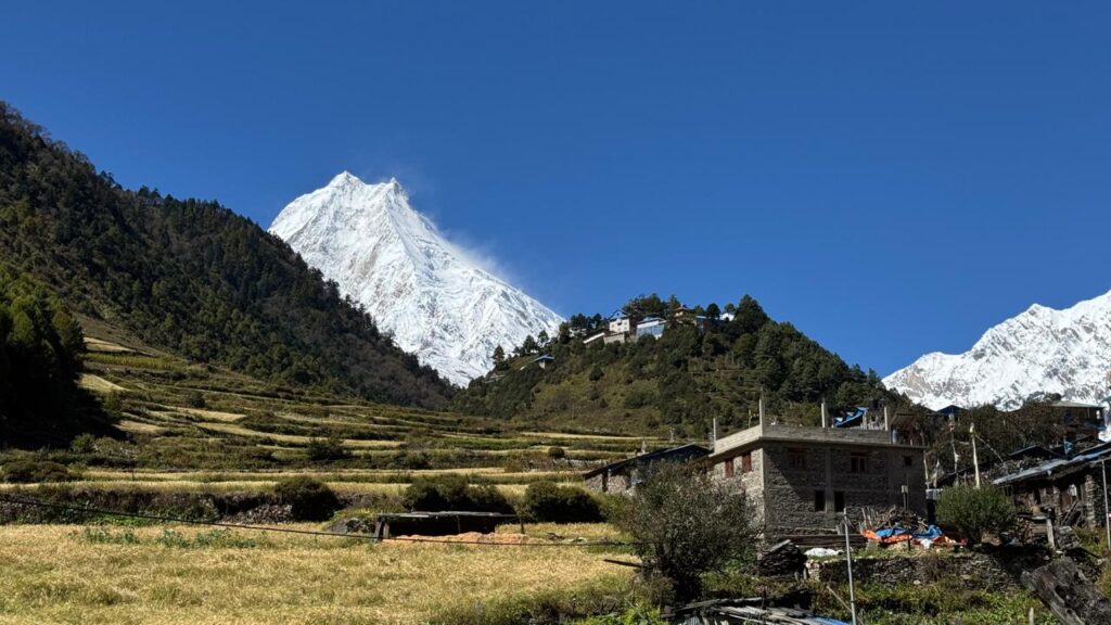Mt Manaslu from village