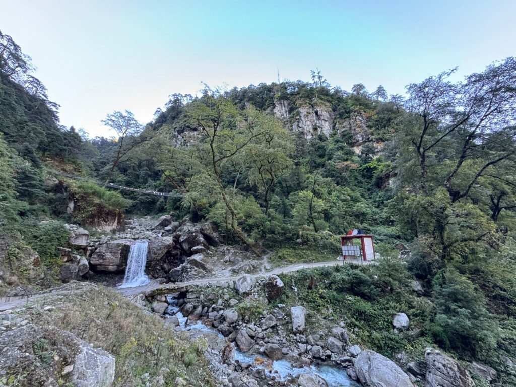 flower river on the way to Ngawal