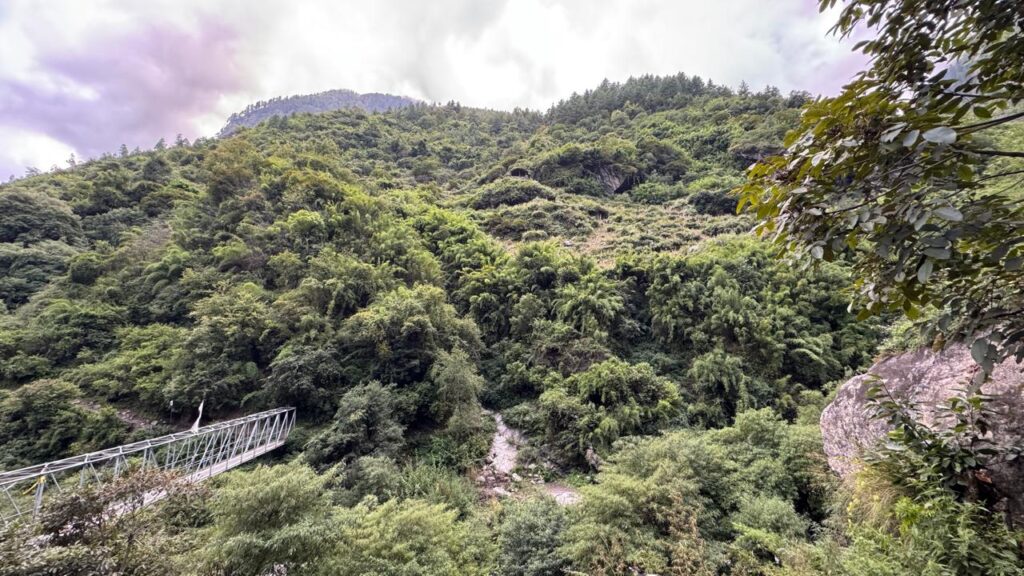 Green forest on lower region