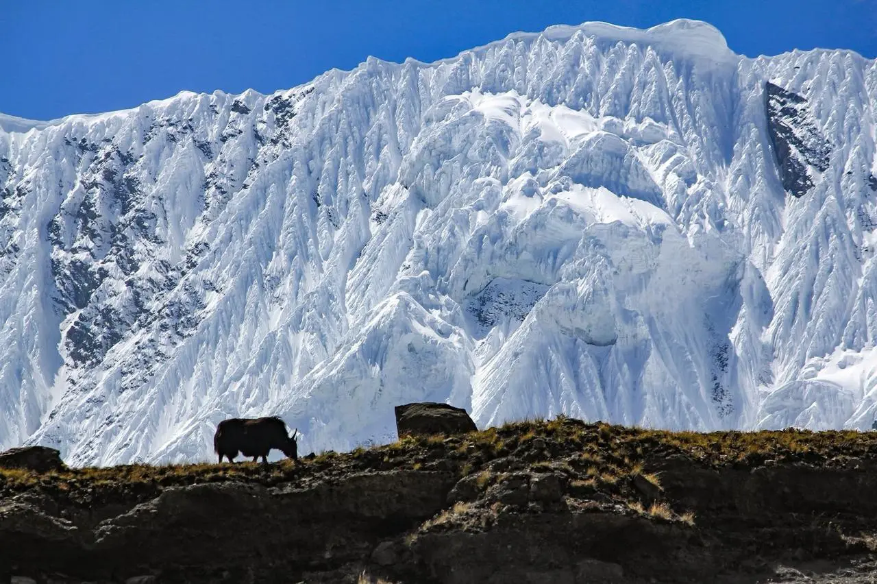 Why Nepal is the #1 Travel Destination in Asia for 2026. blog image